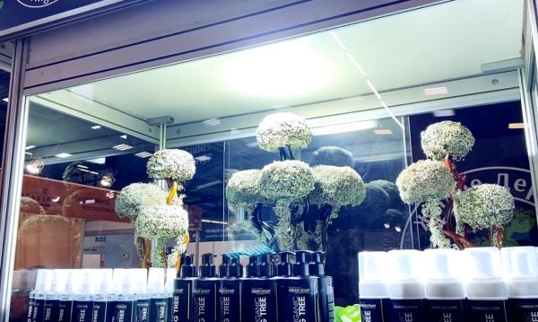 �� �������� ����-�����