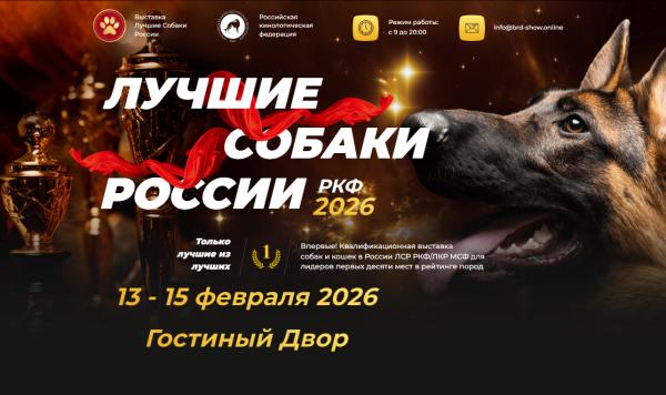 �������� ������ ������ � ����� ������