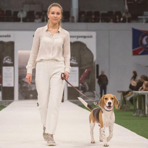 �� �������� �����